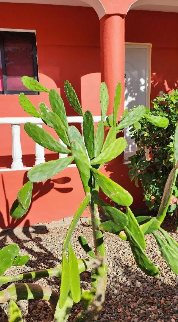 Villa Kiki Ensenada Punta Rucia